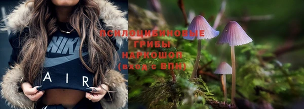 каннабис Арсеньев