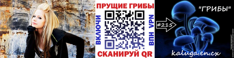 где можно купить наркотик  Кемь  Псилоцибиновые грибы Psilocybine cubensis 